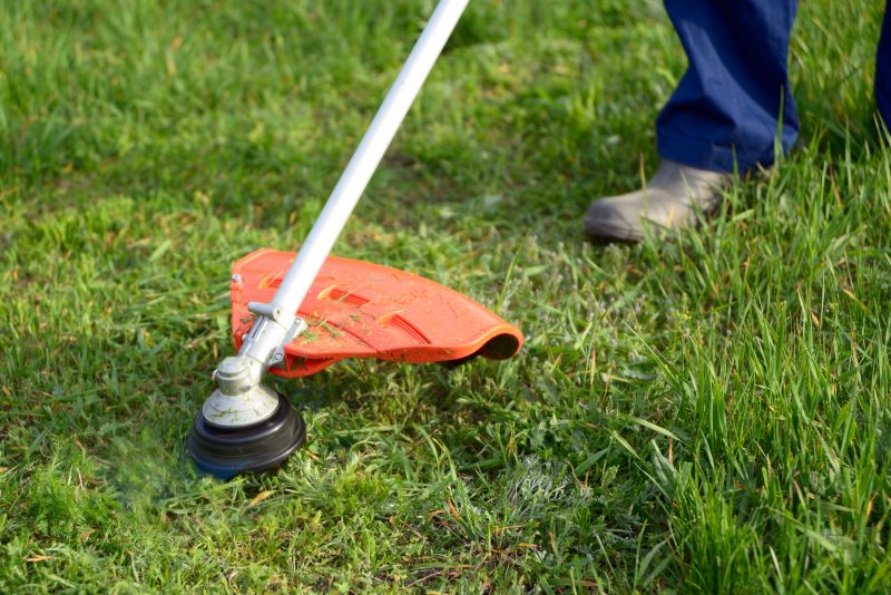 Regular Grass Cutting