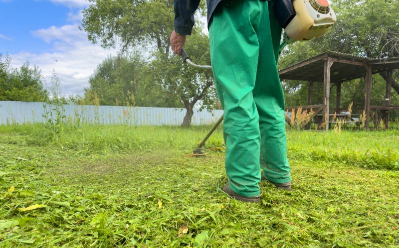 Regular Grass Cutting
