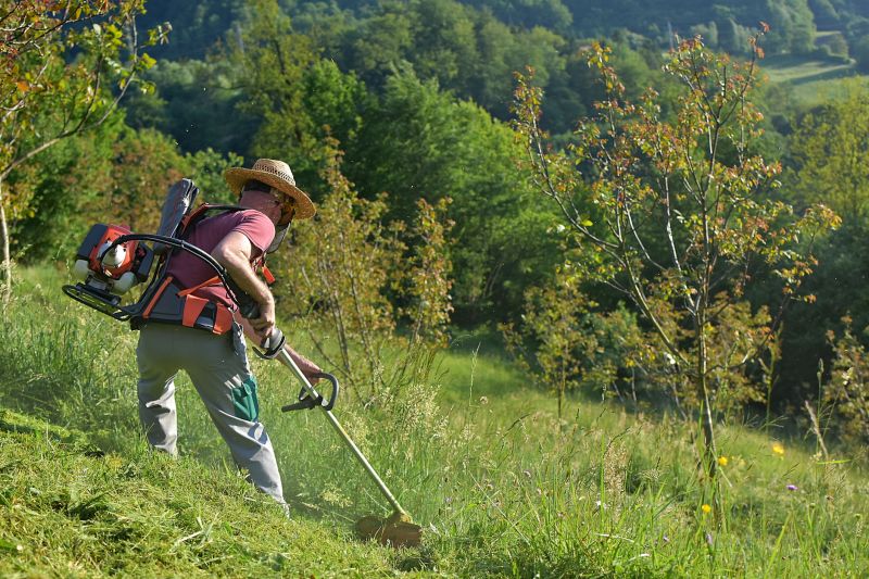 Regular Grass Cutting