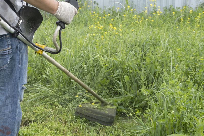 Regular Grass Cutting
