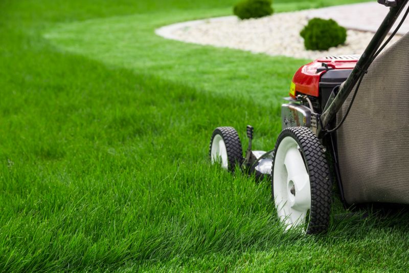 The Difference Professional Lawn Mowing Makes